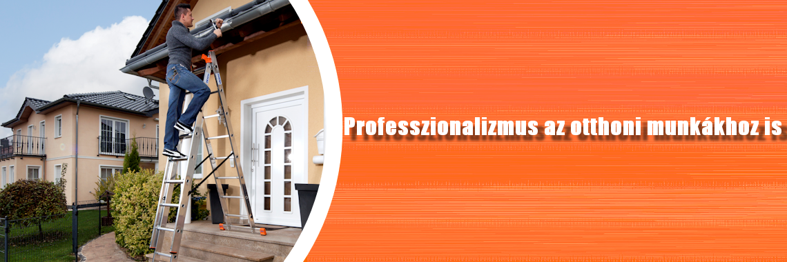 Professional 